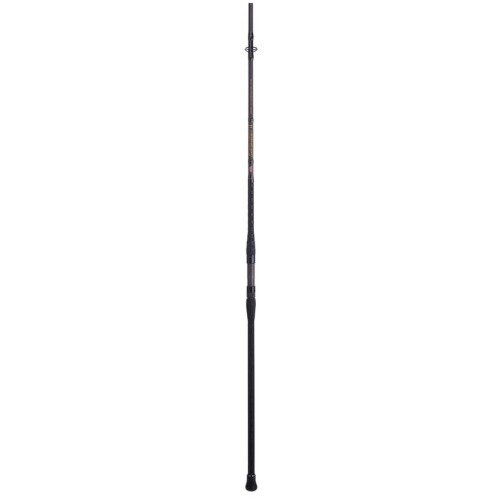 Penn Battalion II Surf Spinning Rod