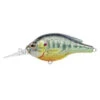 LiveTarget Pumpkinseed Flat-Side Roundbill Lure