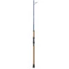 St. Croix Legend Tournament Inshore Saltwater Spinning Rod