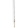Daiwa Procyon Inshore Saltwater Casting Rod