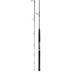 Daiwa Proteus Boat Saltwater Spinning Rod