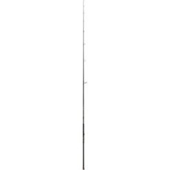St. Croix Seage Surf Spinning Rod