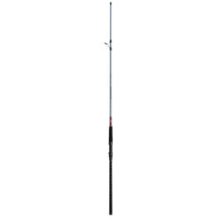 Daiwa Team Daiwa Surf Spinning Rod