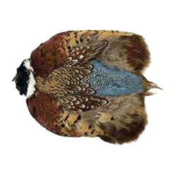 Wapsi Ringneck Pheasant Whole Skin Fly Tying Material